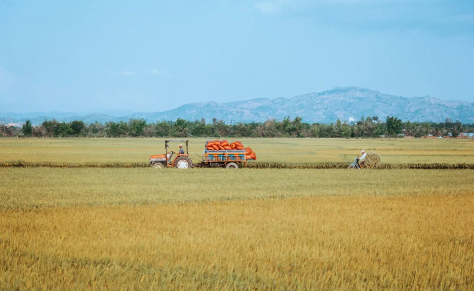 Kho gạo của Nguyễn Thuận 1